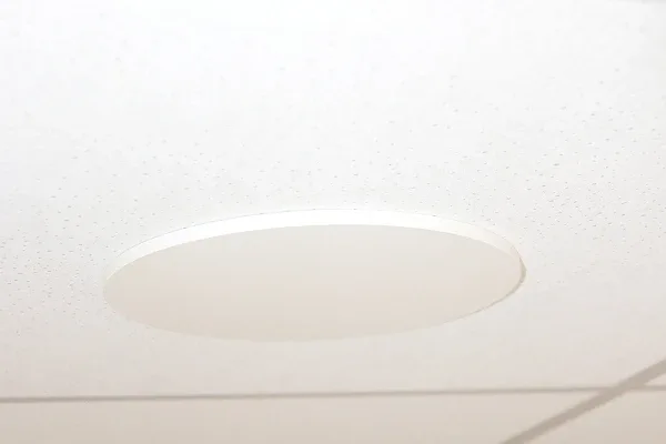 super-slim-deckenantenne-22_44716d58