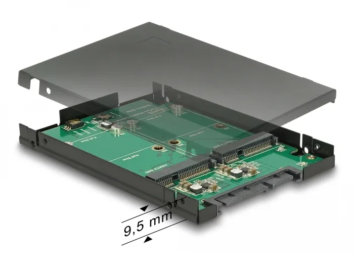 Delock_2_5____Konverter_SATA_22_Pin___2_x_mSATA_mit_RAID_mit_Geh__use__1_8b3b0610