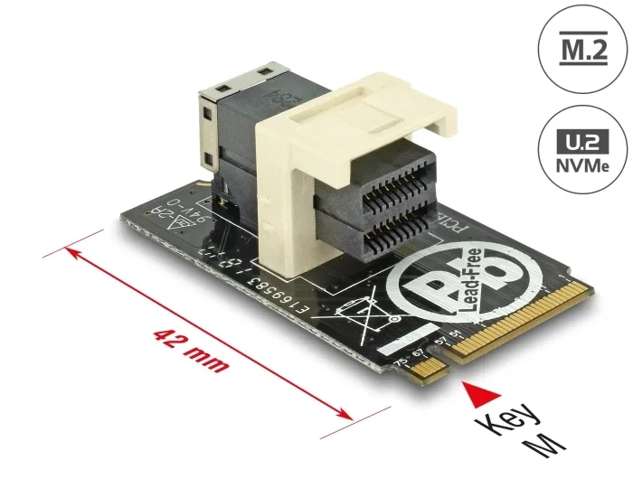 Delock_Adapter_M_2_Key_M___SFF-8643_NVMe_horizontal_2242__1