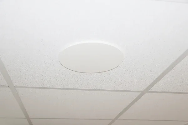 super-slim-deckenantenne-1_f0d57d50